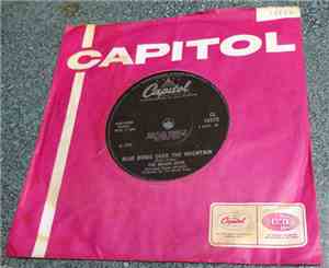 The Beach Boys - Blue Birds Over The Mountain / Never Learn Not To Love